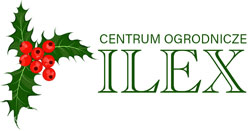 logo ilex