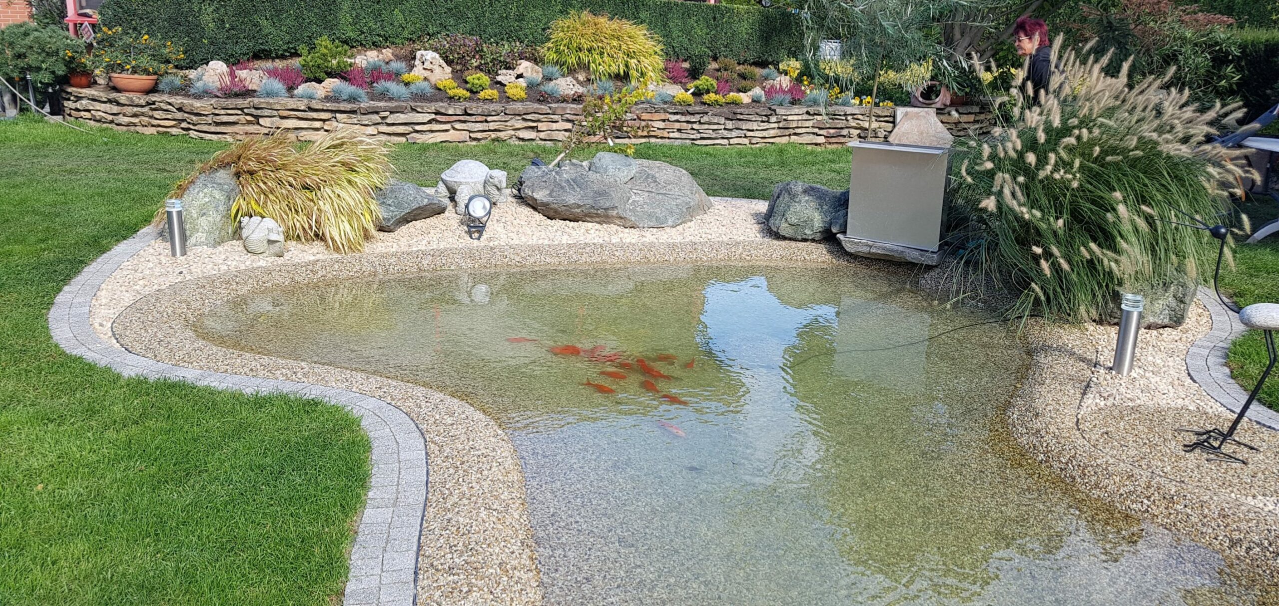 Rośliny kraków Szkółka Ilex nasze realizacje