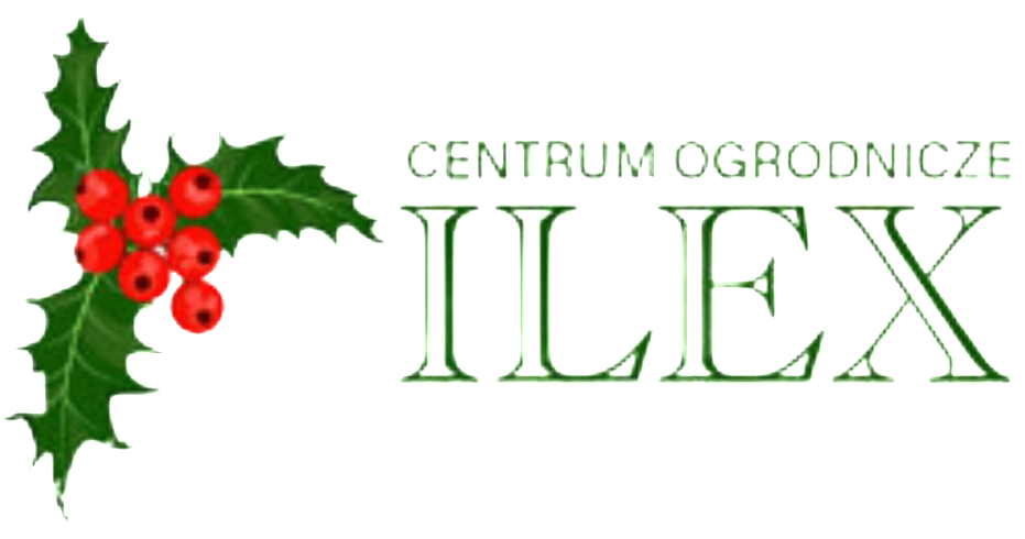 Sprzedaż roślin ozdobnych – Centrum Ogrodnicze ILEX Skawina Kraków