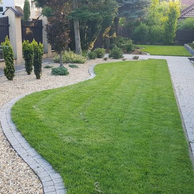 Rośliny kraków Szkółka Ilex realizacje 13