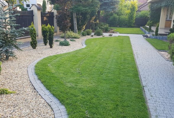 Rośliny kraków Szkółka Ilex realizacje 13