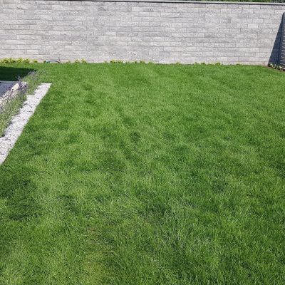 Rośliny kraków Szkółka Ilex realizacje 19