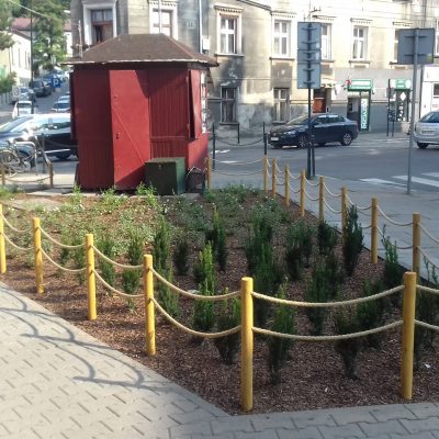 Rośliny kraków Szkółka Ilex realizacje 34