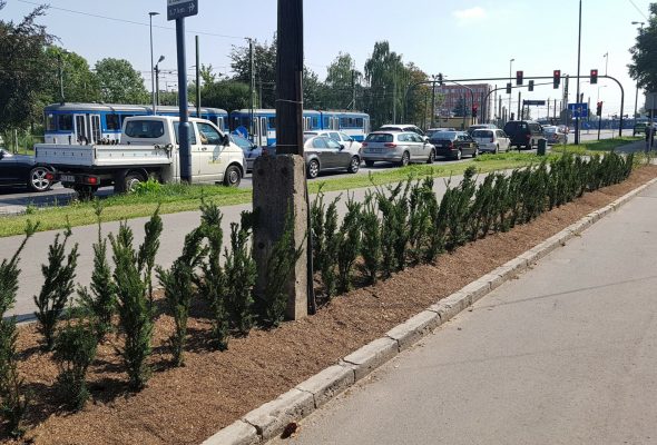 Rośliny kraków Szkółka Ilex realizacje 40