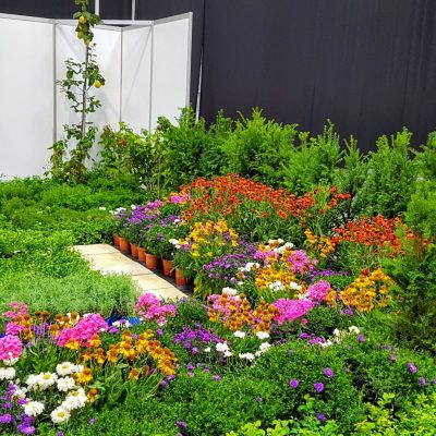 Rośliny kraków Szkółka Ilex realizacje 49