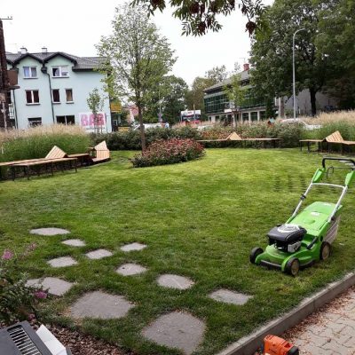 Rośliny kraków Szkółka Ilex realizacje 66