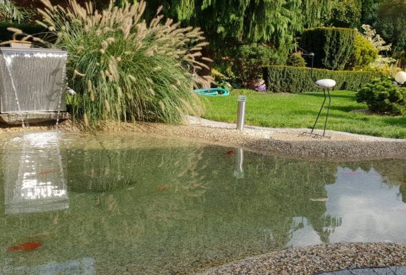 Rośliny kraków Szkółka Ilex realizacje 67