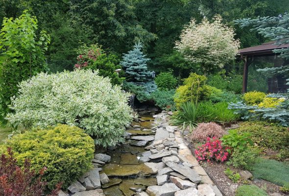 zakładanie ogrodów kraków